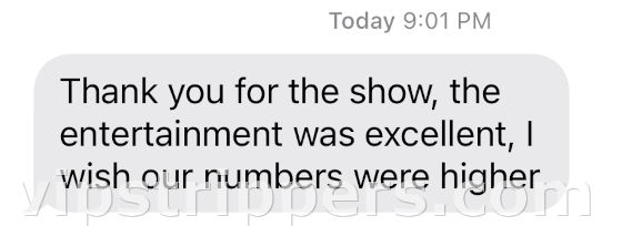 bachelor party review